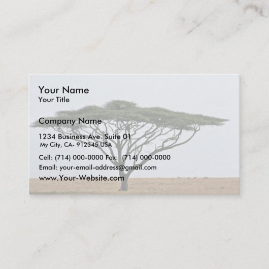 Umbrella Thorn Acacia Tree Visitekaartje (Voorkant)