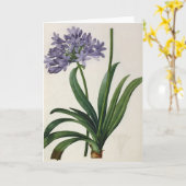 Umbrellatus van Agapanthus Kaart (Gele Bloem)