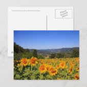 Umbrian Countryside Briefkaart (Voorkant / Achterkant)