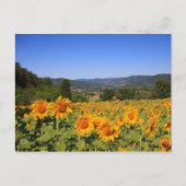 Umbrian Countryside Briefkaart (Voorkant)
