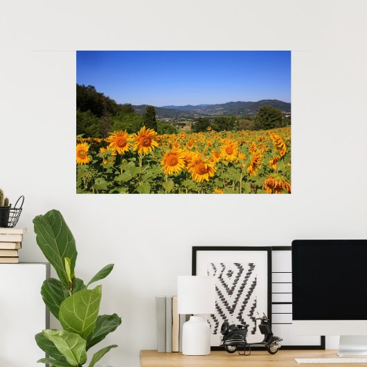 Umbrian Countryside - Italië Print (Thuiskantoor)