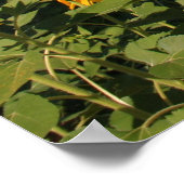 Umbrian Countryside - Italië Print (Hoek)