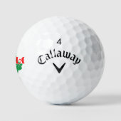 Umbrië Golfballen (Logo)