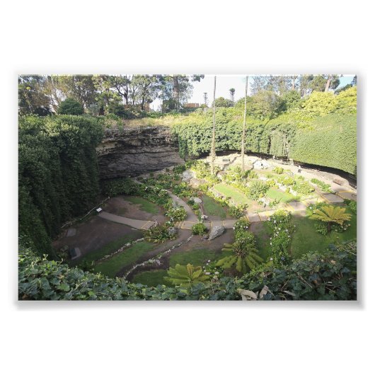 Umpherston Sinkhole Hidden Sanctuary Foto Afdruk (Voorkant)