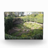 Umpherston Sinkhole Hidden Sanctuary Fotoblokken (Voorkant)