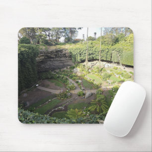 Umpherston Sinkhole Hidden Sanctuary Muismat