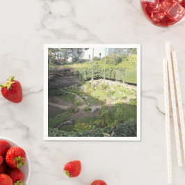 Umpherston Sinkhole Hidden Sanctuary Servet