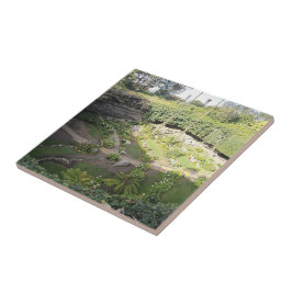 Umpherston Sinkhole Hidden Sanctuary Tegeltje