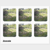 Umpherston Sinkhole Hidden Sanctuary Vierkante Sticker (Vel)