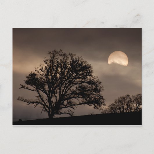 Umpqua Valley Sunrise Briefkaart (Voorkant)