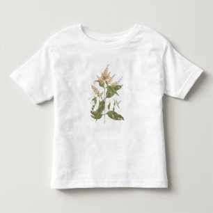 Umtar (Boeddleia polystachya) (m/c boven grafiet o Kinder Shirts