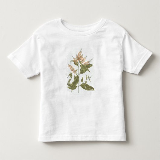 Umtar (Boeddleia polystachya) (m/c boven grafiet o Kinder Shirts (Voorkant)