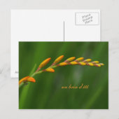 un brin d'été briefkaart (Voorkant / Achterkant)