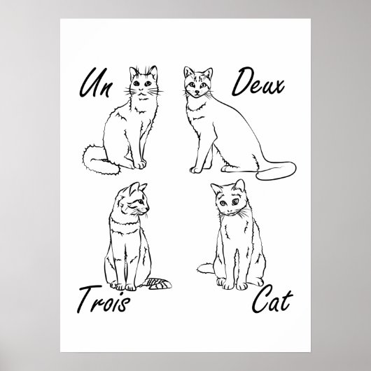 Un Deux Trois Cat Funny French Poster (Voorkant)
