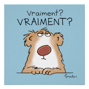 Un ours variiment incrédule perfect poster