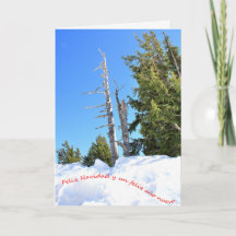 Una escena de invierno para la Navidad. Español. 2