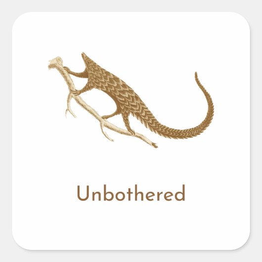 Unbothered Pangolin Vierkante Sticker (Voorkant)