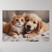 Unconditional Love Poster (Voorkant)