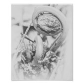 Uncurling Woodland Fern Black en White Print 1 Foto Afdruk (Voorkant)