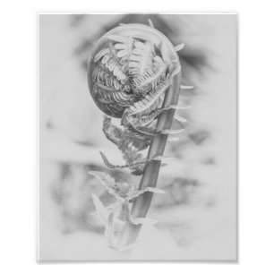 Uncurling Woodland Fern Black en White Print 2 Foto Afdruk