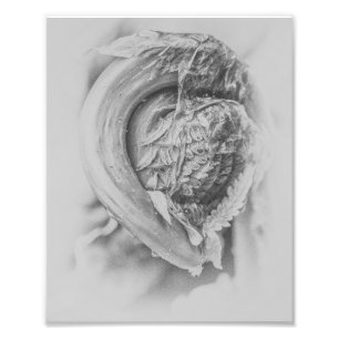 Uncurling Woodland Fern Black en White Print 3 Foto Afdruk