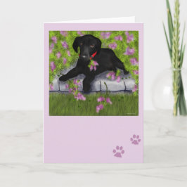 Under the Lilacs Kaart