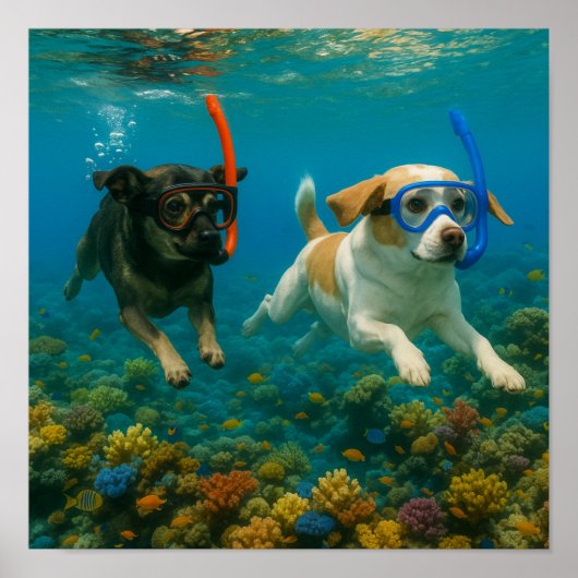 "Under The Sea" Poster (Voorkant)