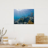 Under Water Biscayne NP Poster (Keuken)