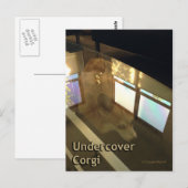 Undercover Corgi Briefkaart (Voorkant / Achterkant)