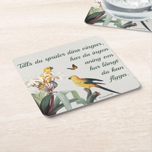 Underlägg — Fåglar Kartonnen Onderzetters (Schuin)