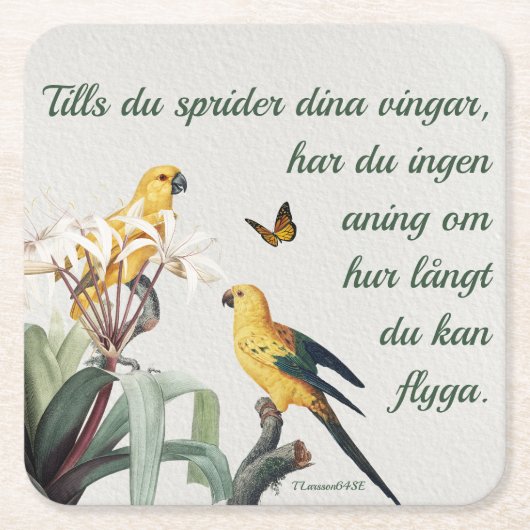 Underlägg — Fåglar Kartonnen Onderzetters (Voorkant)