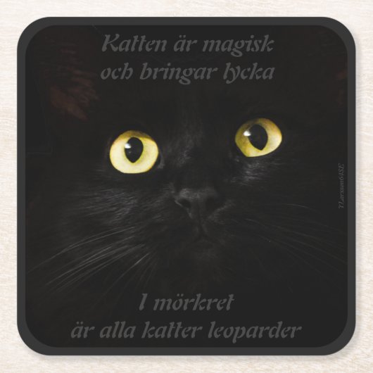 Underlägg — Katt Kartonnen Onderzetters (Voorkant)