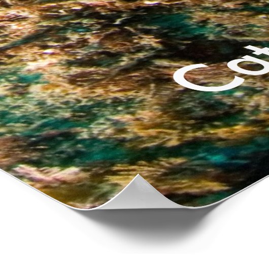 Underwater Catalina Island Poster (Hoek)