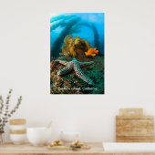 Underwater Catalina Island Poster (Keuken)