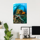 Underwater Catalina Island Poster (Thuiskantoor)