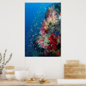 Underwater coral reef, Indonesia Poster (Keuken)
