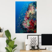 Underwater coral reef, Indonesia Poster (Thuiskantoor)