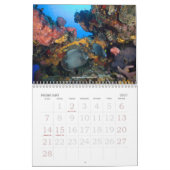 Underwater Journey 2009 Edition Kalender (Feb 2027)