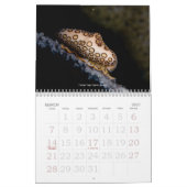 Underwater Journey 2009 Edition Kalender (Mar 2027)