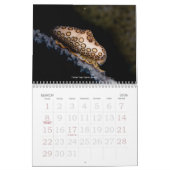 Underwater Journey 2009 Edition Kalender (Mar 2026)