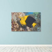 Underwater Life, FISH: Een kleurrijke Rock Beauty Canvas Afdruk (Insitu (Houten vloer))