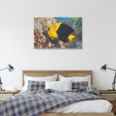 Underwater Life, FISH: Een kleurrijke Rock Beauty Canvas Afdruk (Insitu (Slaapkamer))