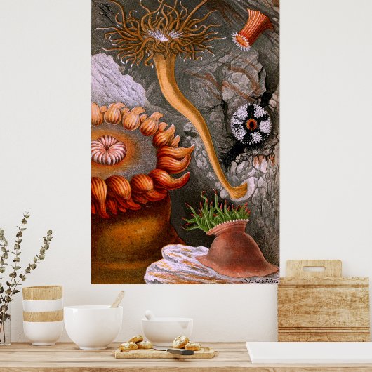 Underwater Life Four Of Ten Poster (Keuken)