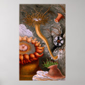 Underwater Life Four Of Ten Poster (Voorkant)