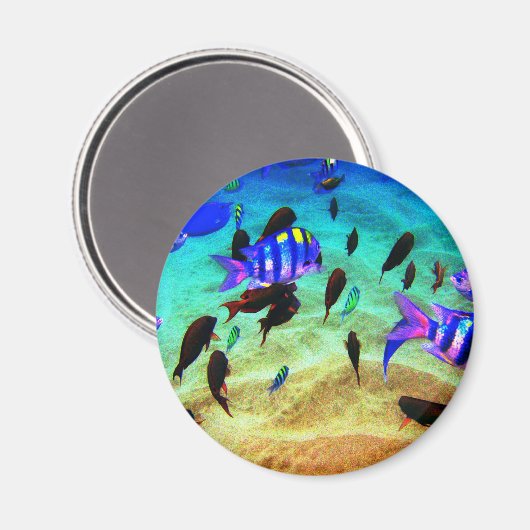 underwater magneet (Voorkant / Achterkant)