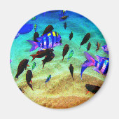 underwater magneet (Voorkant)