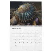 Underwater Majesty Kalender (Feb 2027)
