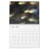 Underwater of Siquijor S- L size Kalender (Mar 2027)