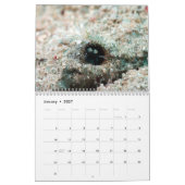 Underwater of Siquijor S- L size Kalender (Jan 2027)