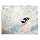 Underwater of Siquijor S- L size Kalender (Hoes)